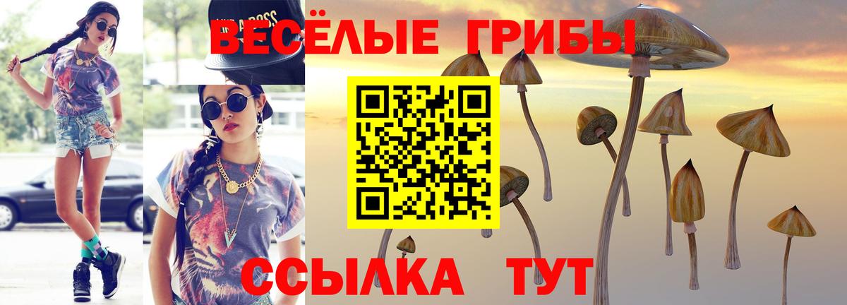 Заринск  Псилоцибиновые грибы мухоморы  Галлюциногенные грибы GOLDEN TEACHER  Вход с VPN 
